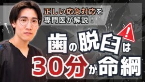 歯の脱臼を甘く見ると歯を失う理由と、たった30分が運命を分ける応急処置